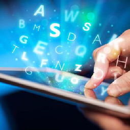 佛山项目投资价值及稳定回报论证报告