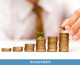 股权价值与项目投资风险分析 专业机构的选择与价格考量